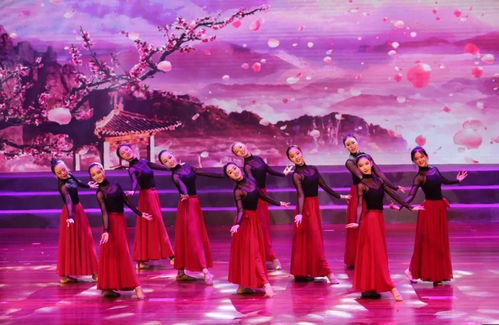 花開正當時，舞動少年夢——天臺縣少兒舞蹈成果展演圓滿落幕