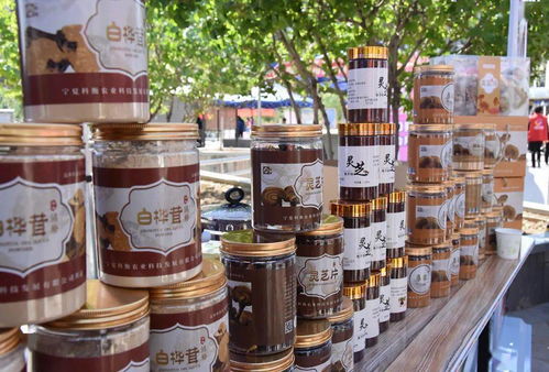 巾幗展風(fēng)采，服務(wù)暖人心——銀川市巾幗家政服務(wù)暨巾幗助力扶貧展示進(jìn)社區(qū)活動(dòng)正式啟動(dòng)